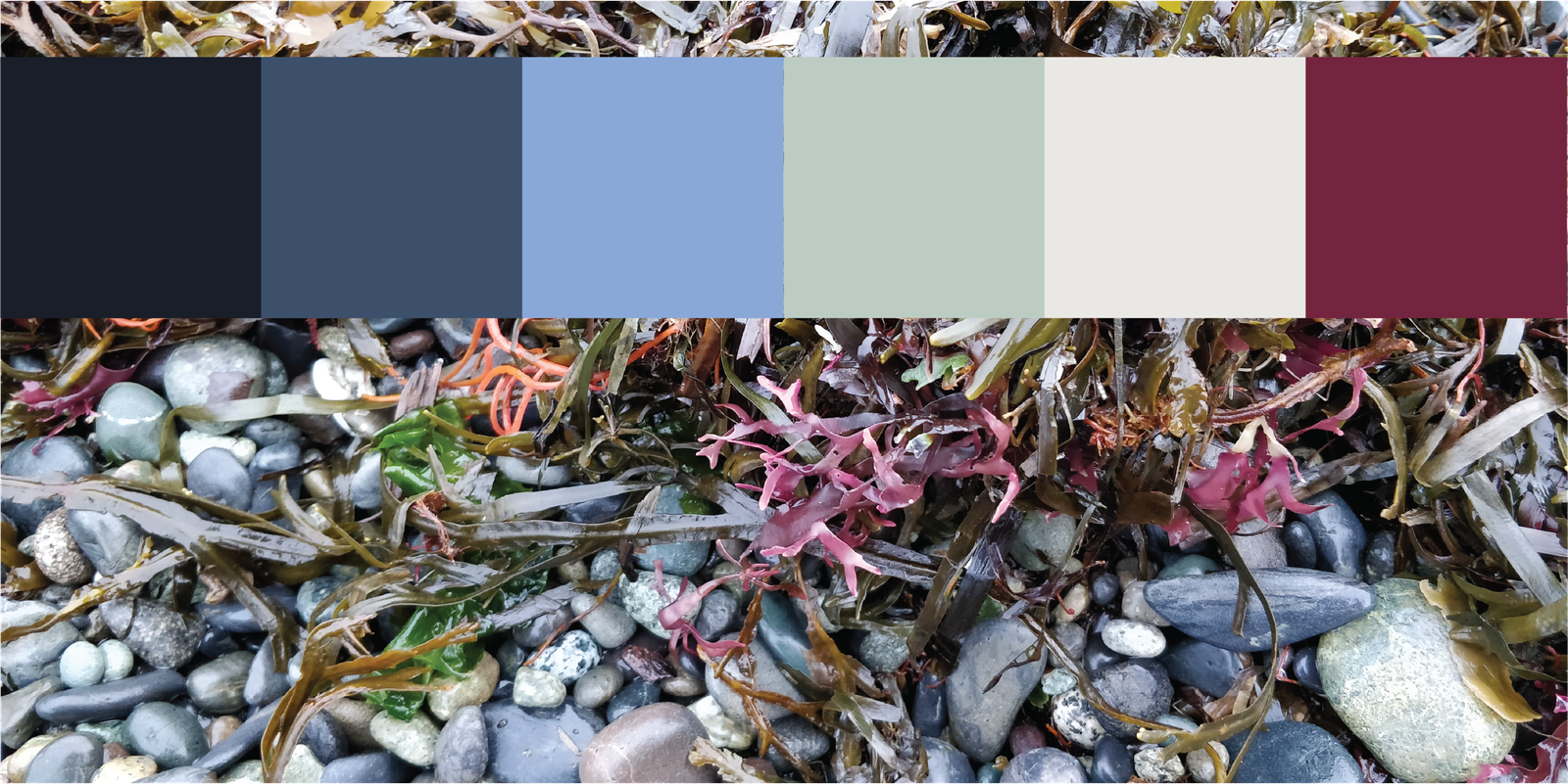 Brand development and identity revision for Breakwater Cannabis: colour inspiration from the shoreline